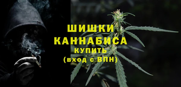 дурь Богданович