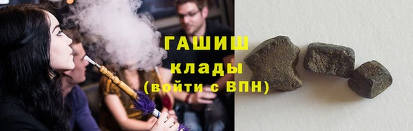 индика Богородск