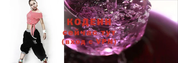 индика Богородск