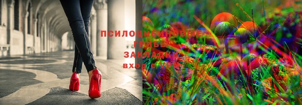 индика Богородск