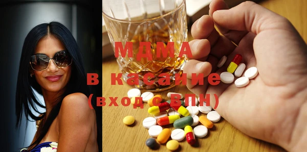 индика Богородск