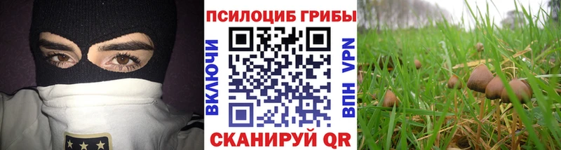 Галлюциногенные грибы мицелий  хочу   Великий Устюг 
