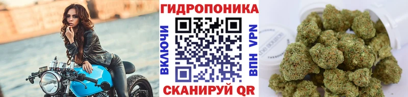 МАРИХУАНА семена  Великий Устюг 